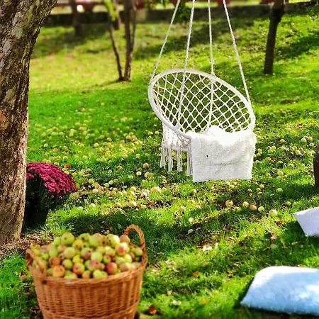 Tatil Evi Angel House *