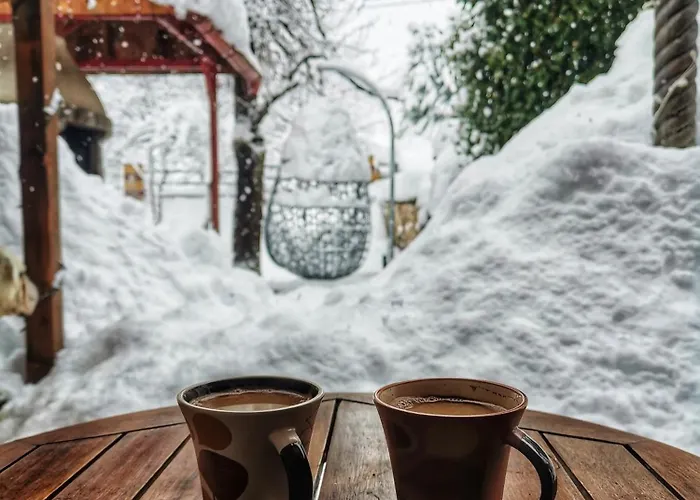Tatil Evi Angel House Ravna Gora
